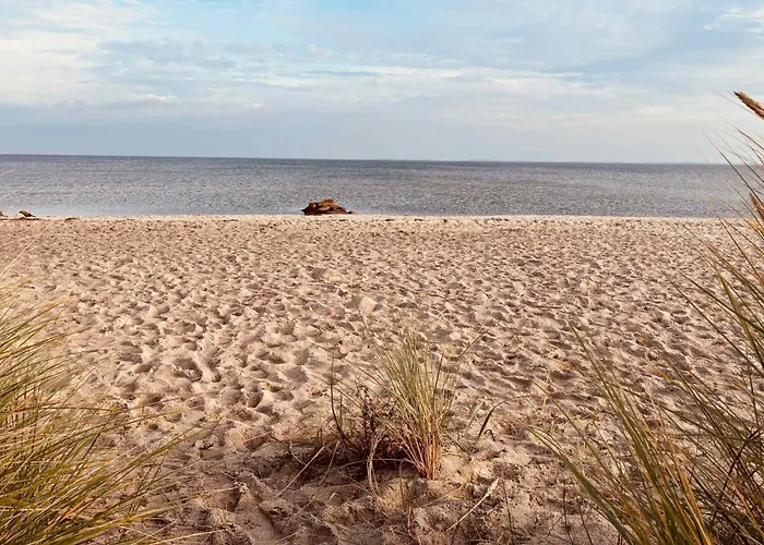 Lovely Family In Quiet Waterside Setting